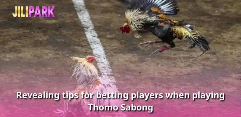 Revealing tips for betting players when playing Thomo Sabong
