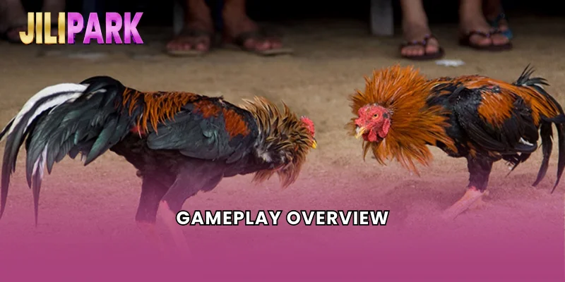 Gameplay Overview