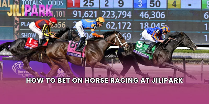 How to Bet on Horse Racing at Jilipark