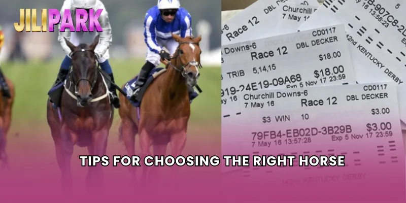 Tips for Choosing the Right Horse