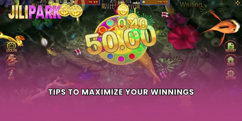 Tips to Maximize Your Winnings